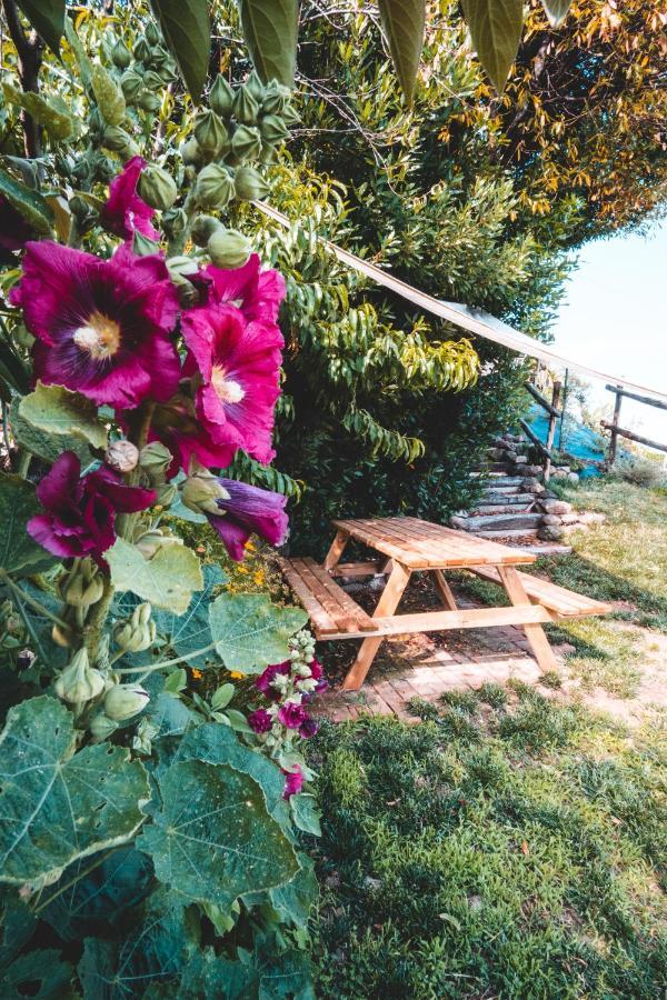 Agriturismo Dai Gobbi Fara Vicentino エクステリア 写真